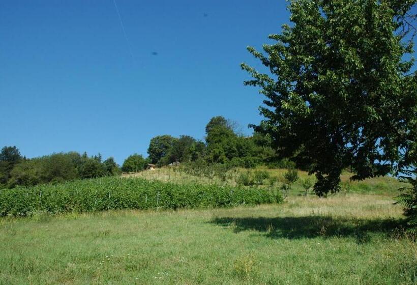 בית מלון כפרי Agriturismo Casa Casoni