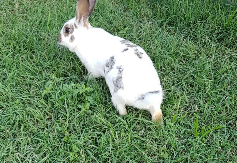 בית מלון כפרי Agriturismo Frascje Dai Spadons