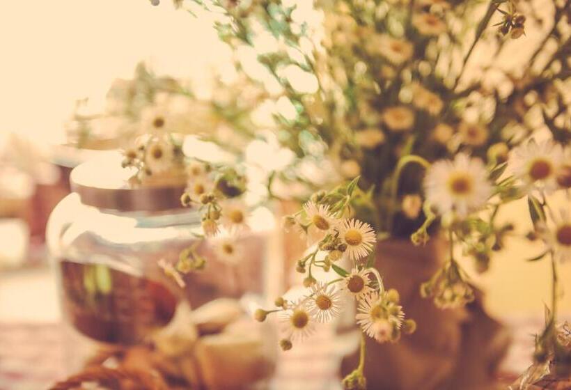 Hotel Agriturismo I Surì Asti