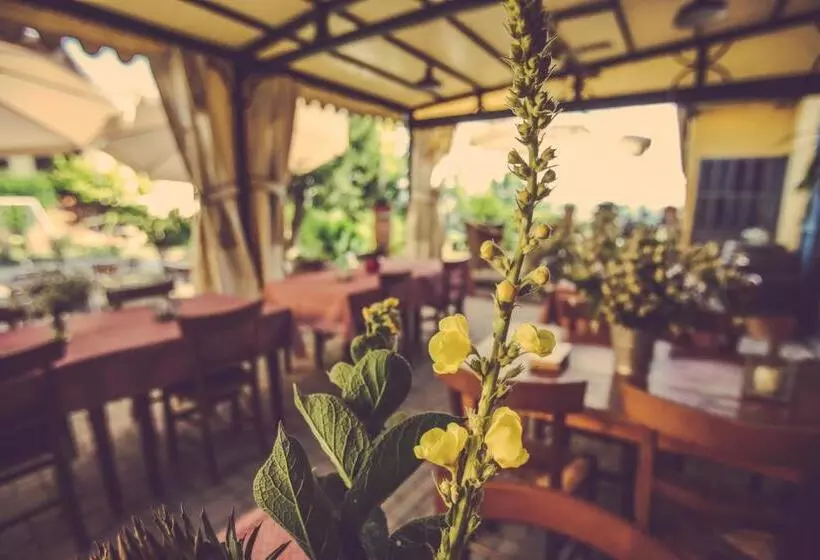 هتل Agriturismo I Surì Asti