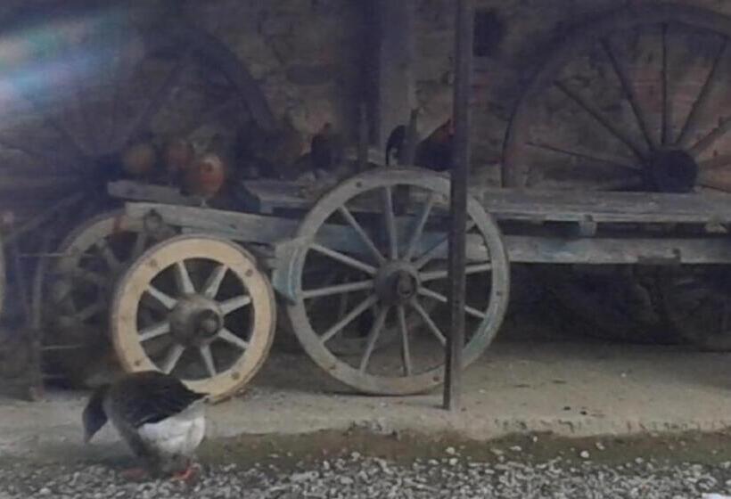 فندق Agriturismo Il Vecchio Portico