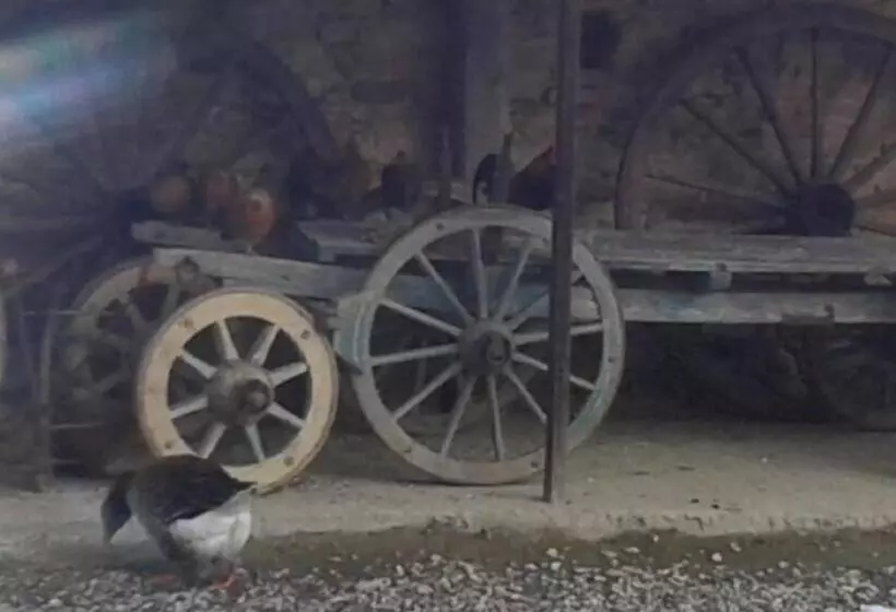 ホテル Agriturismo Il Vecchio Portico