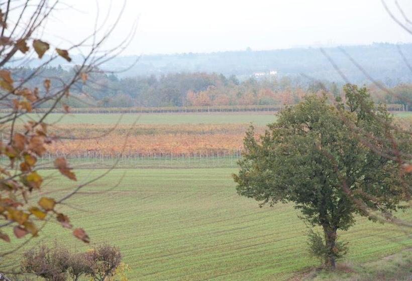 فندق Agriturismo Il Vecchio Portico