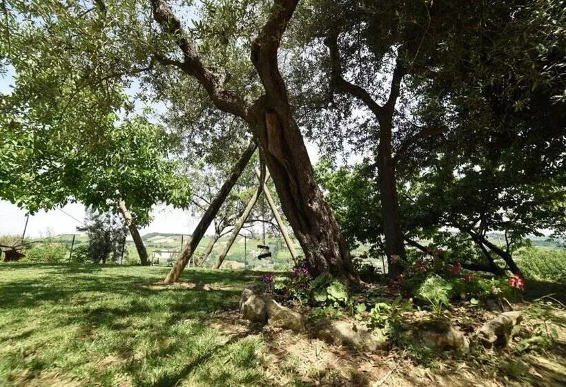 ホテル Agriturismo  La Valle Degli Ulivi
