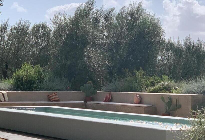 酒店 Tenuta Di Paternostro