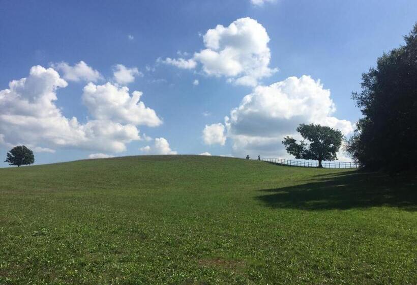 酒店 Tenuta Di Paternostro