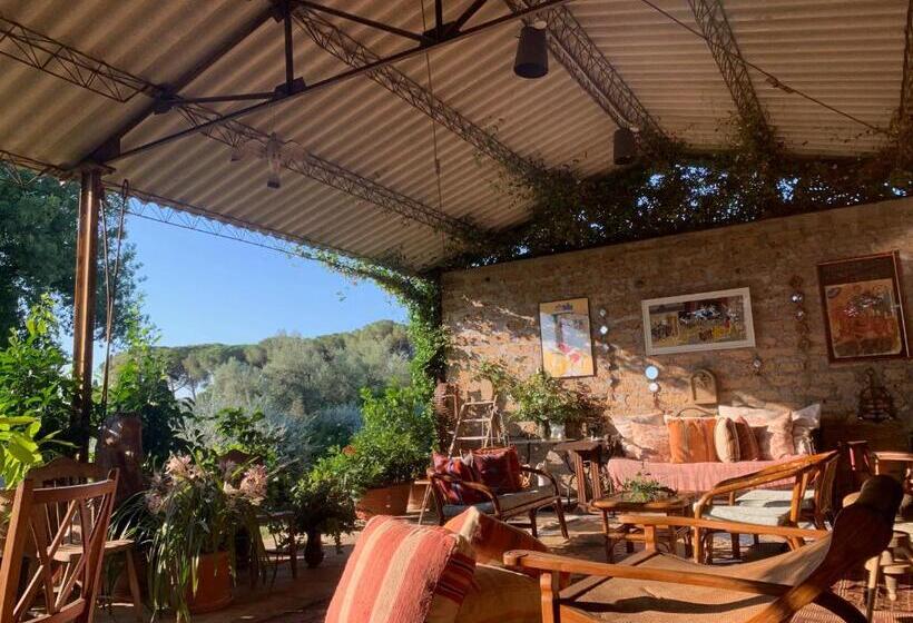 酒店 Tenuta Di Paternostro