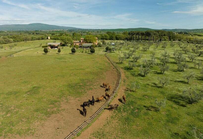 酒店 Tenuta Di Paternostro