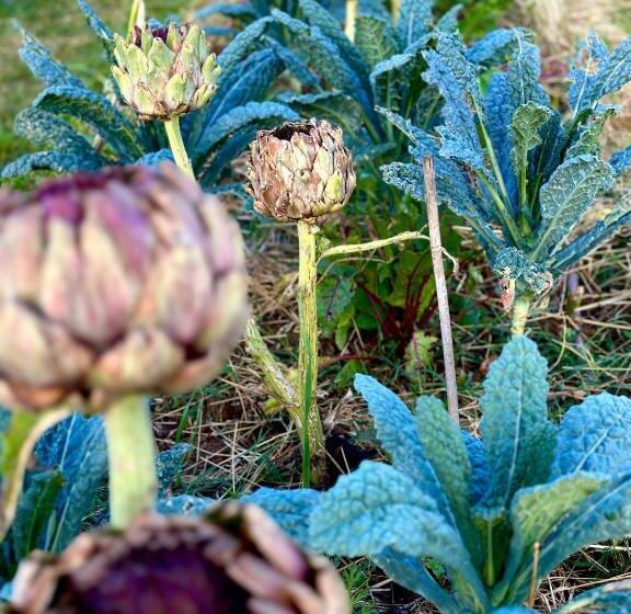 酒店 Tenuta Di Paternostro