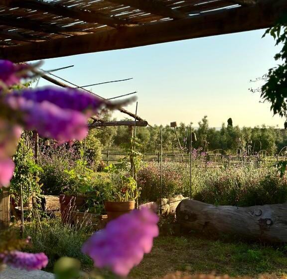 酒店 Tenuta Di Paternostro