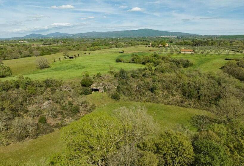 酒店 Tenuta Di Paternostro