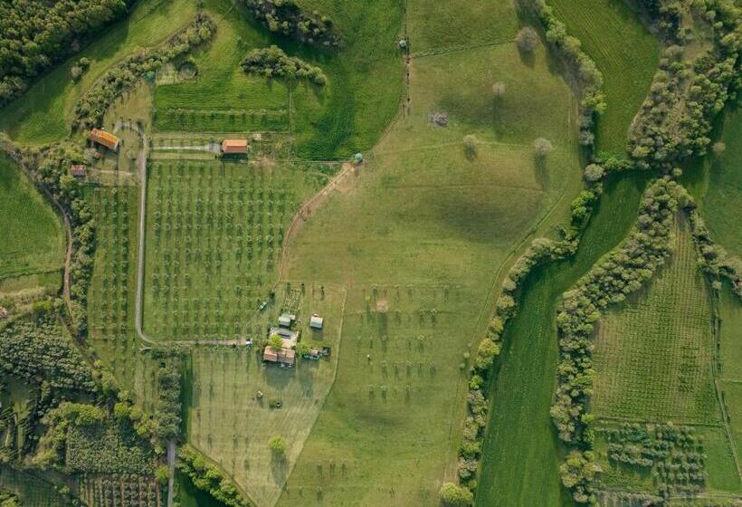 酒店 Tenuta Di Paternostro