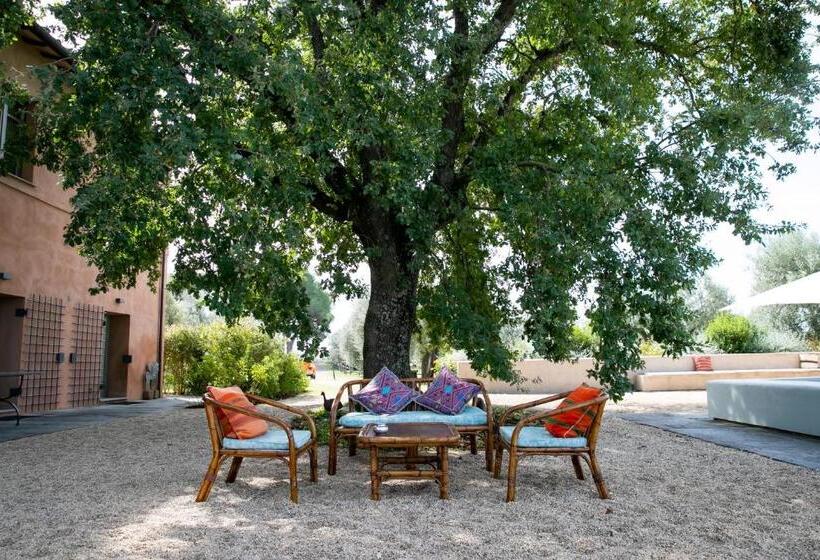 酒店 Tenuta Di Paternostro