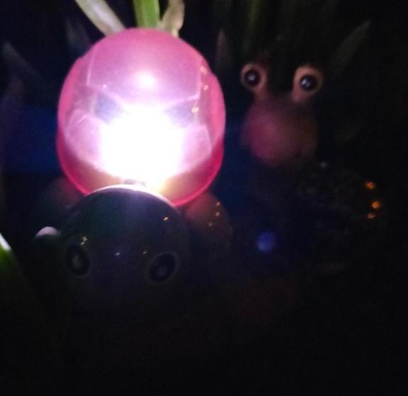 بنسيون Night & Day Affittacamere Di Laura Patuelli