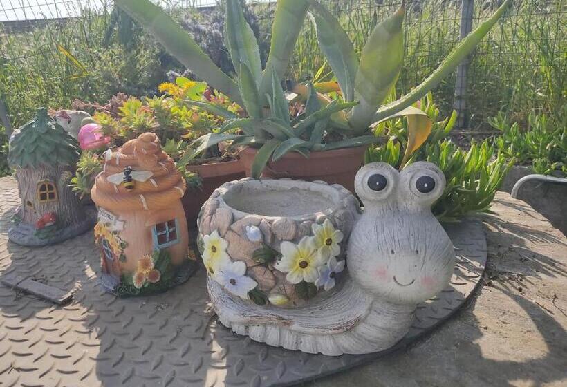 بنسيون Night & Day Affittacamere Di Laura Patuelli