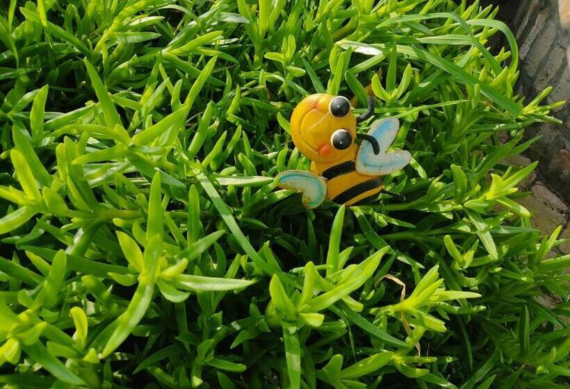 بنسيون Night & Day Affittacamere Di Laura Patuelli