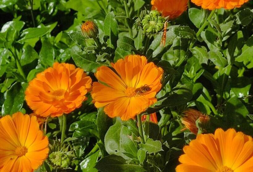 بنسيون Night & Day Affittacamere Di Laura Patuelli