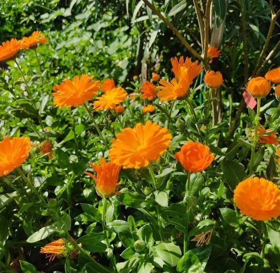 بنسيون Night & Day Affittacamere Di Laura Patuelli