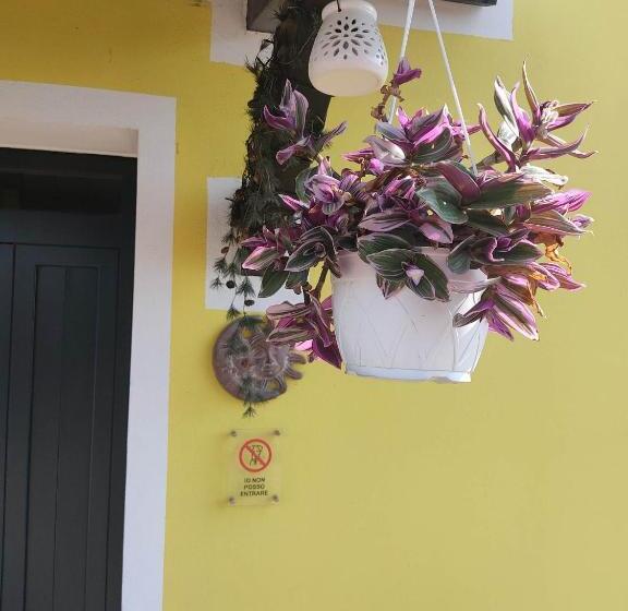 بنسيون Night & Day Affittacamere Di Laura Patuelli