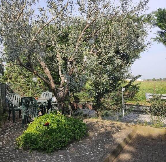 بنسيون Night & Day Affittacamere Di Laura Patuelli