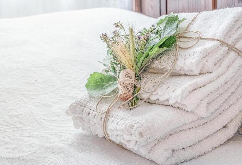 פנסיון Villa Curte Nicia