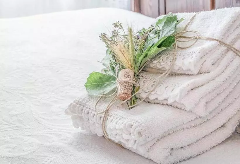 Majatalo Villa Curte Nicia