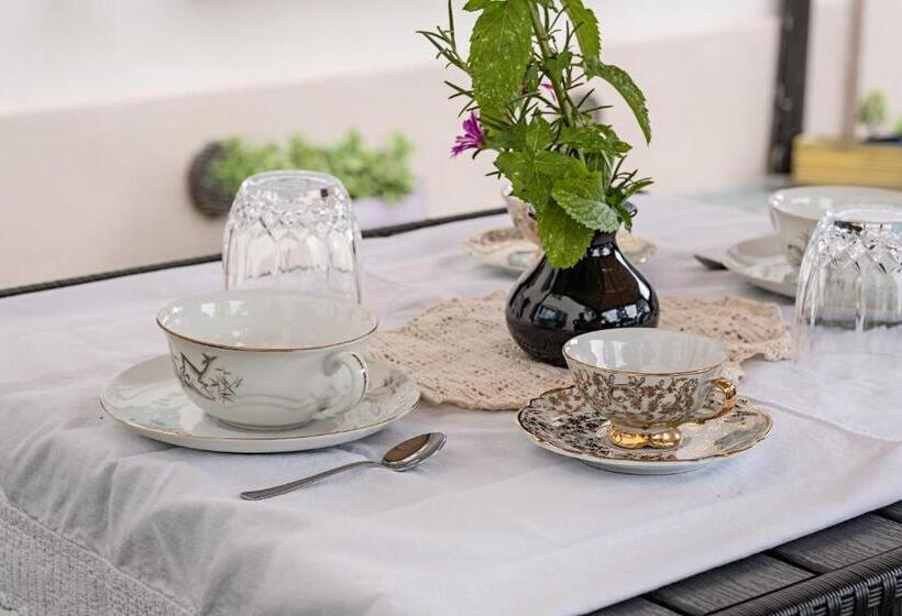 פנסיון Villa Curte Nicia