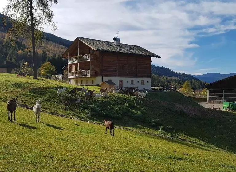 ホテル Agritur Maso Piasina