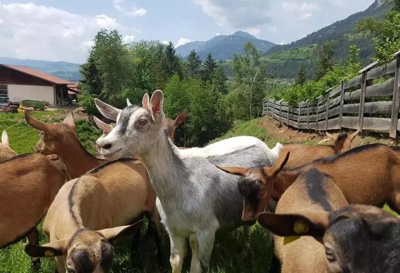 ホテル Agritur Maso Piasina