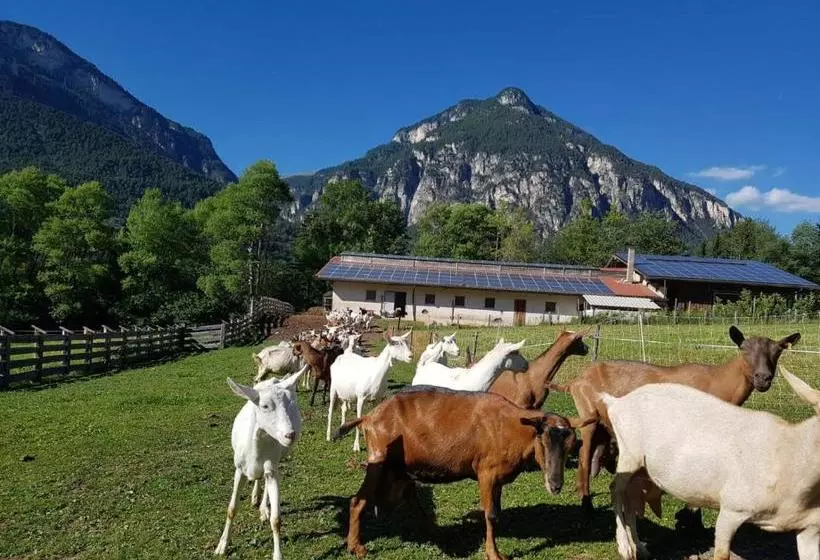 ホテル Agritur Maso Piasina