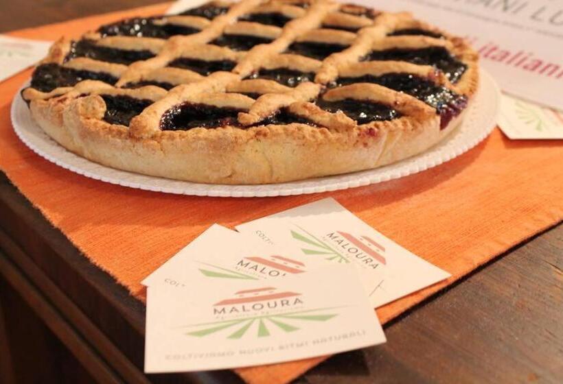 酒店 Agriturismo Maloura