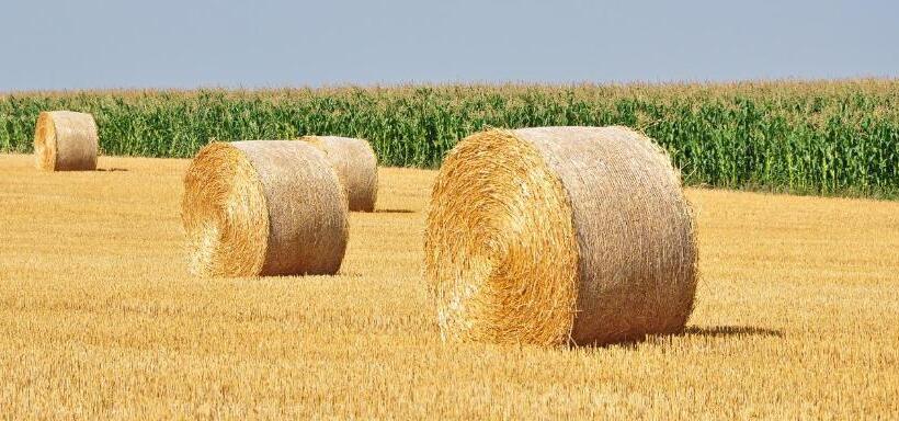 בית מלון כפרי Agriturismo Santa Barbara