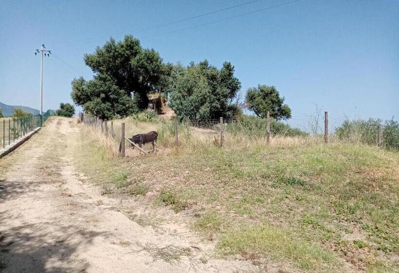 בית מלון כפרי Mama Lina