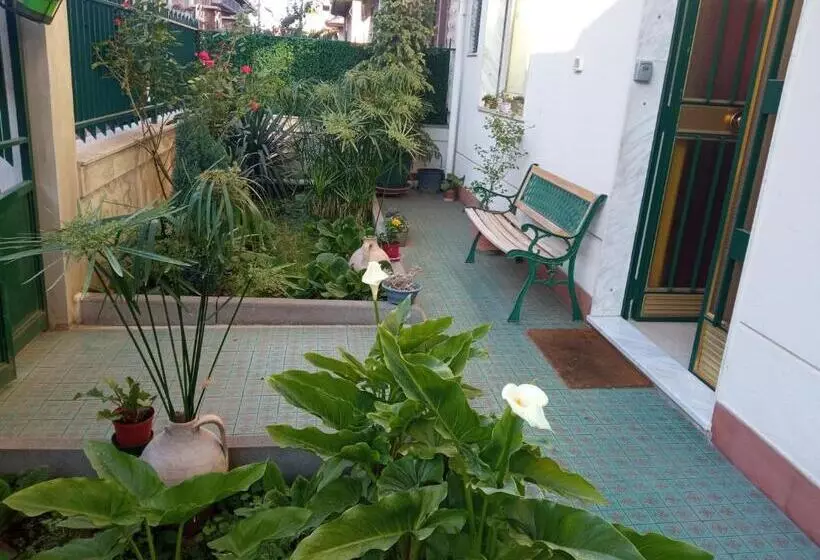ペンション Homestay
