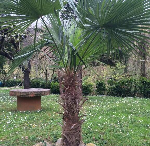 הוסטל Locanda Irene