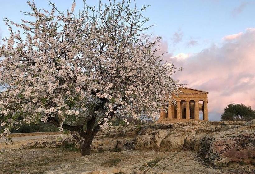 تختخواب و صبحانه Alfa Quadro