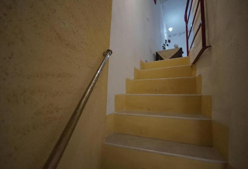 تختخواب و صبحانه Alfa Quadro