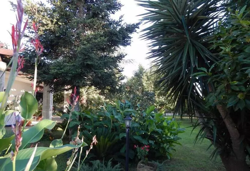 ホテル Agriturismo Monte Degli Angeli