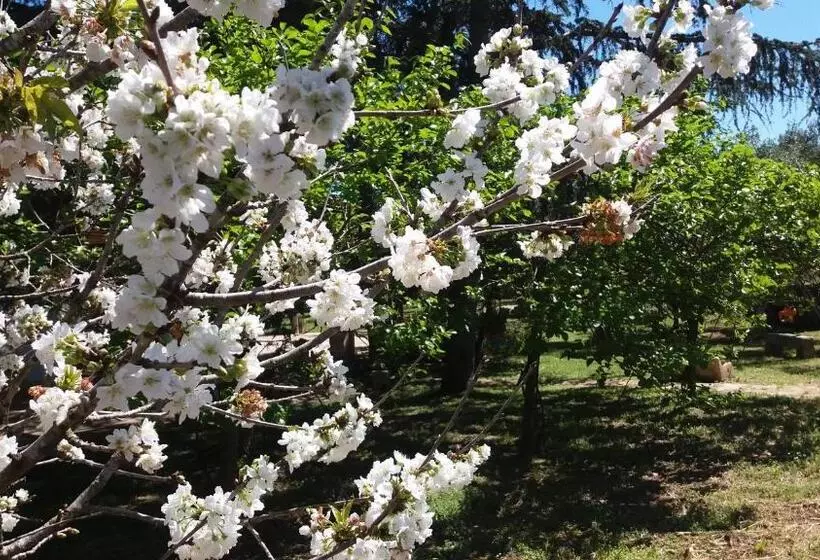 ホテル Agriturismo Monte Degli Angeli