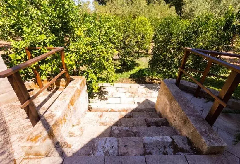 ホテル Agriturismo Monte Degli Angeli