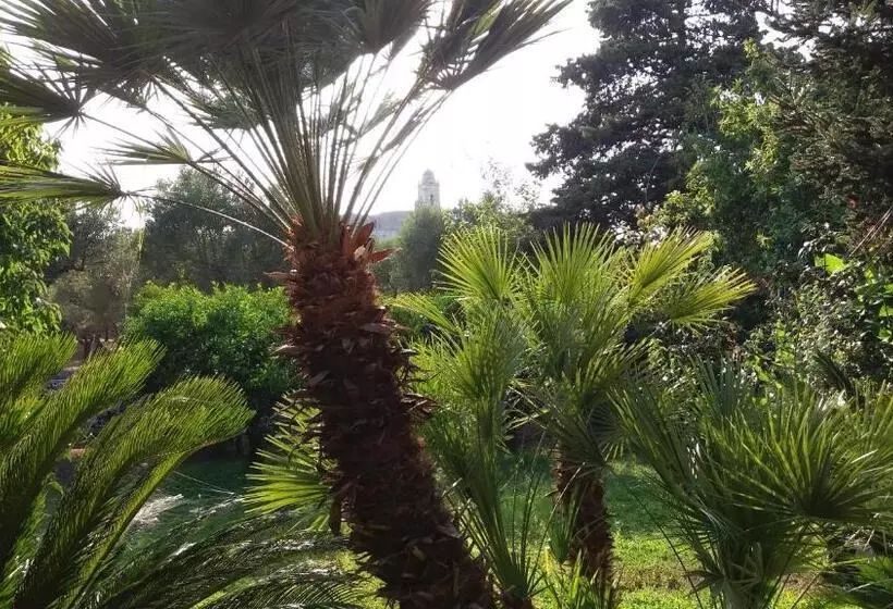 ホテル Agriturismo Monte Degli Angeli
