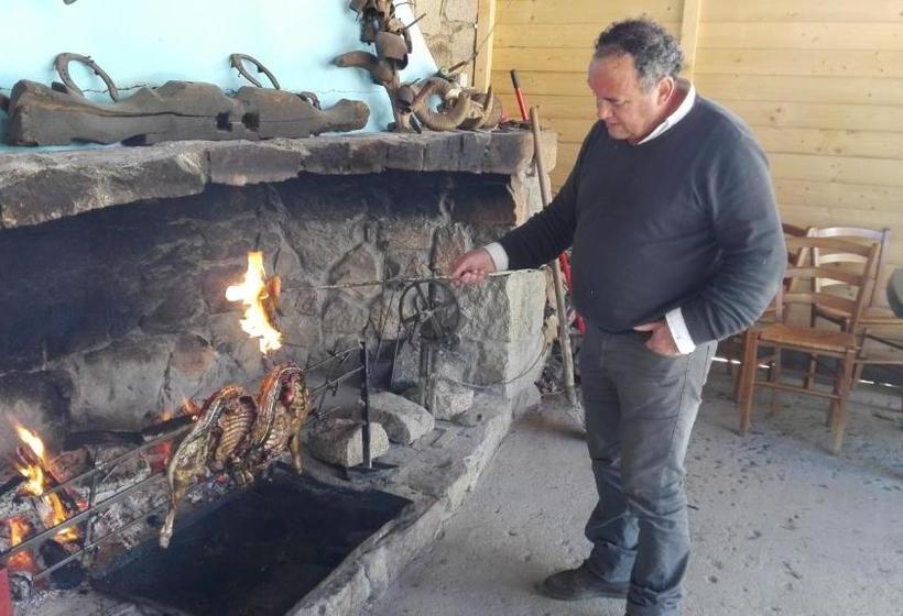 Отель Agriturismo Su Pinnettu