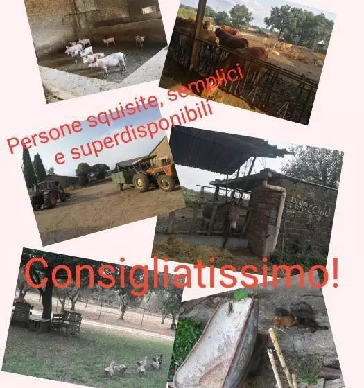 هتل Biobagnolese Agriturismo