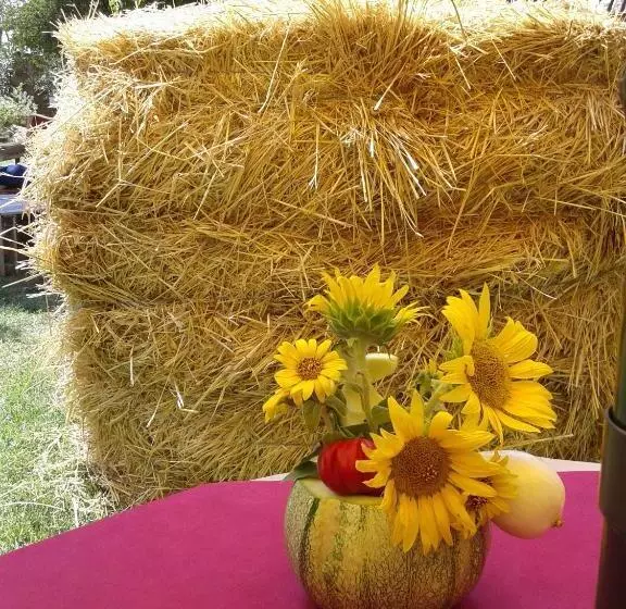 هتل Biobagnolese Agriturismo