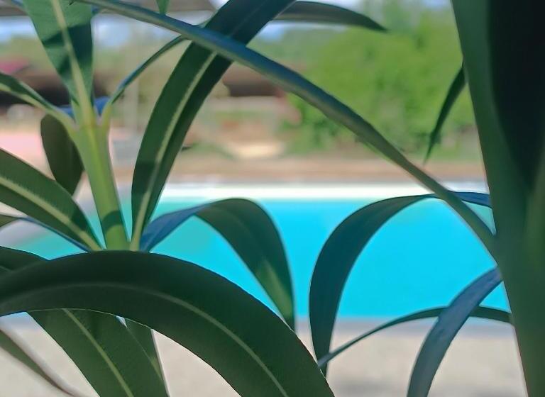 Отель Biobagnolese Agriturismo