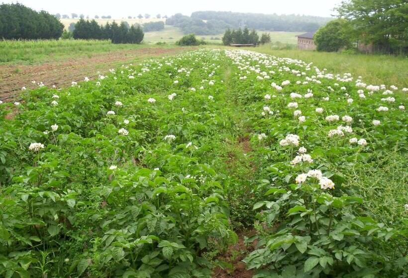 Отель Biobagnolese Agriturismo