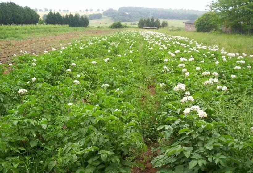 هتل Biobagnolese Agriturismo