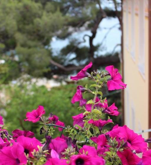 פנסיון Il Timone Lerta