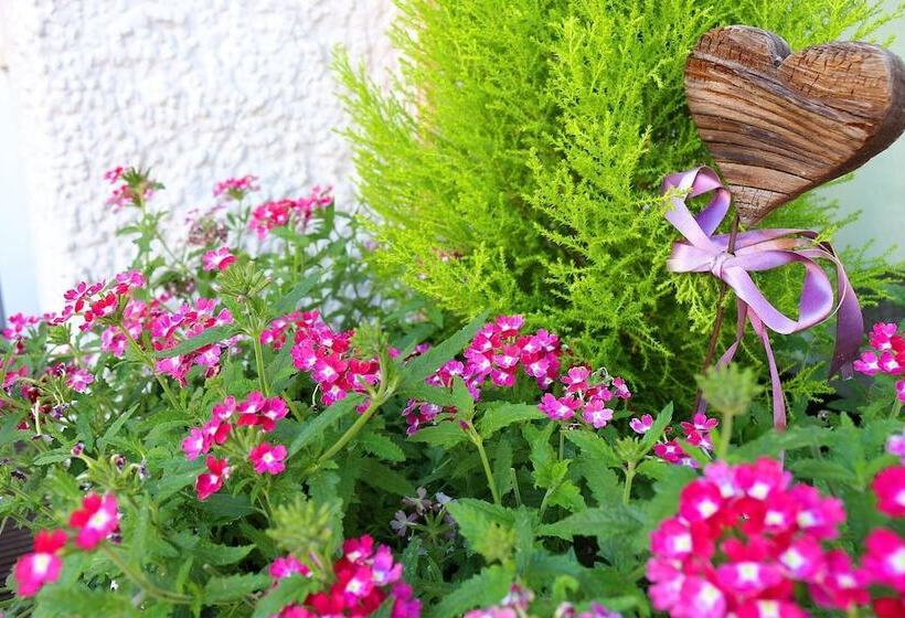 Schenna Garni Eden Bed & Breakfast