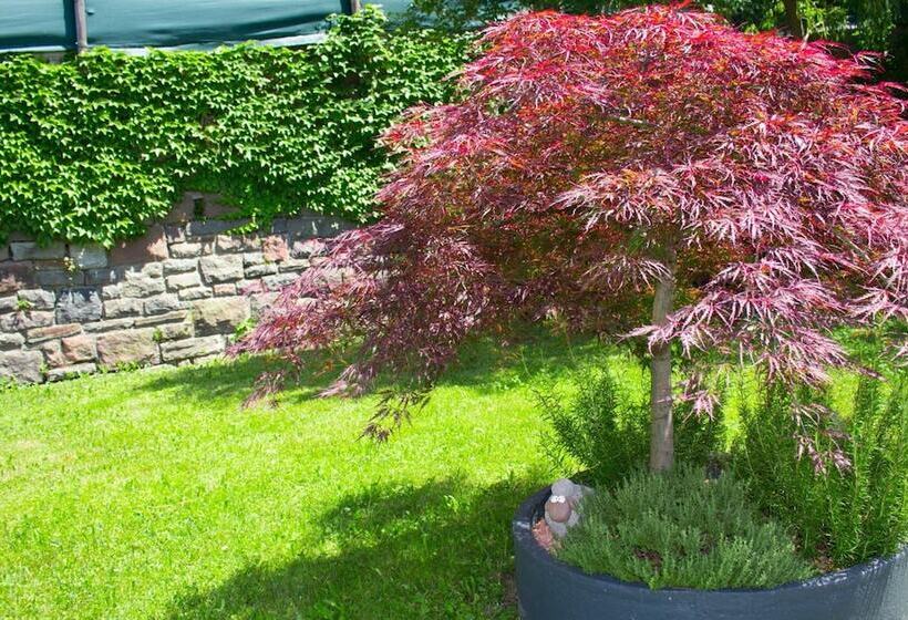 Schenna Garni Eden Bed & Breakfast